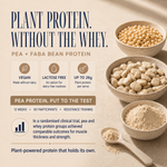 Matcha x10 Sachet Pack pea and faba bean plant protein benefits with up to 26g protein per serve